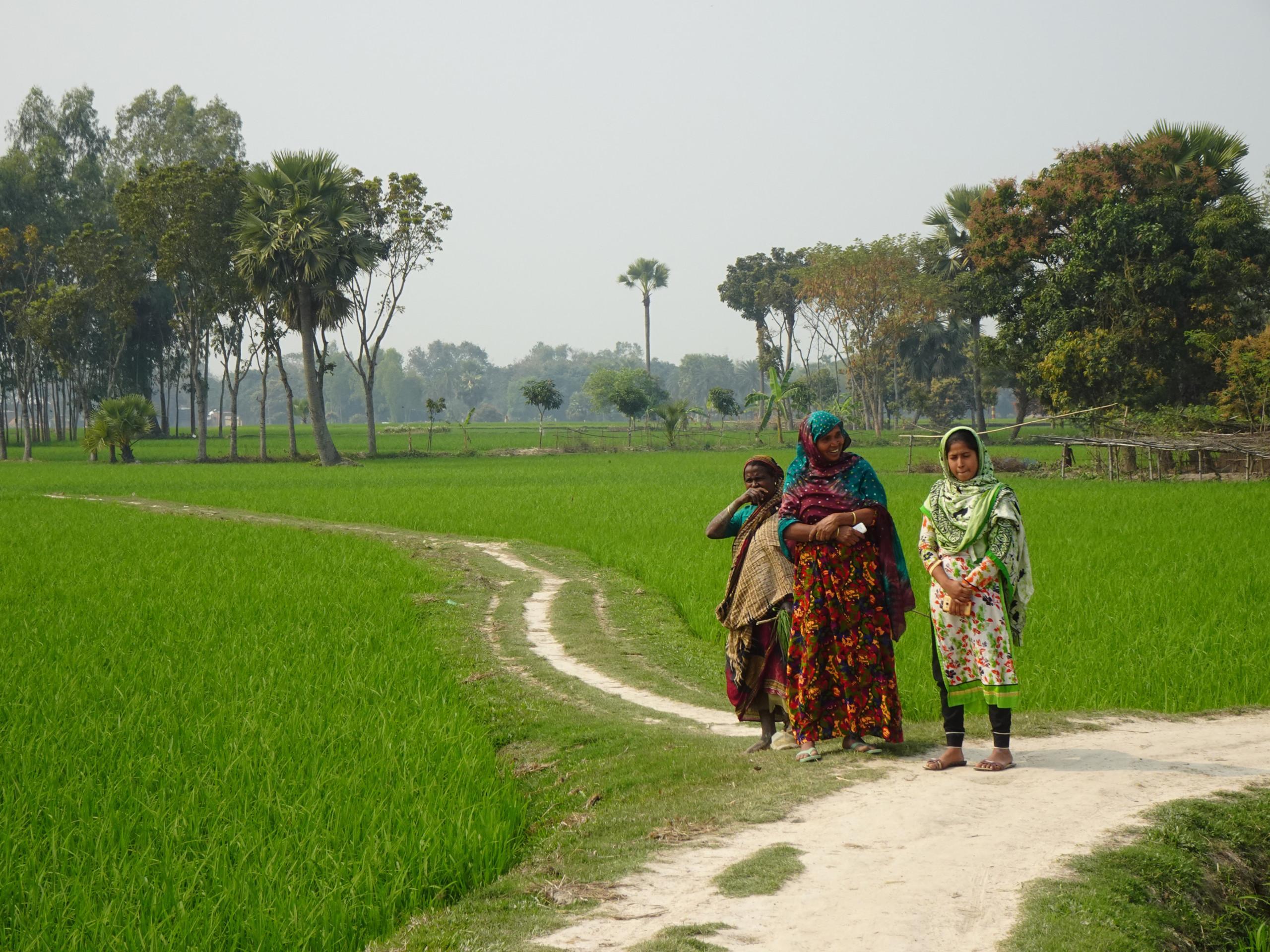 Naiset riisipellon laidalla Kylvaja