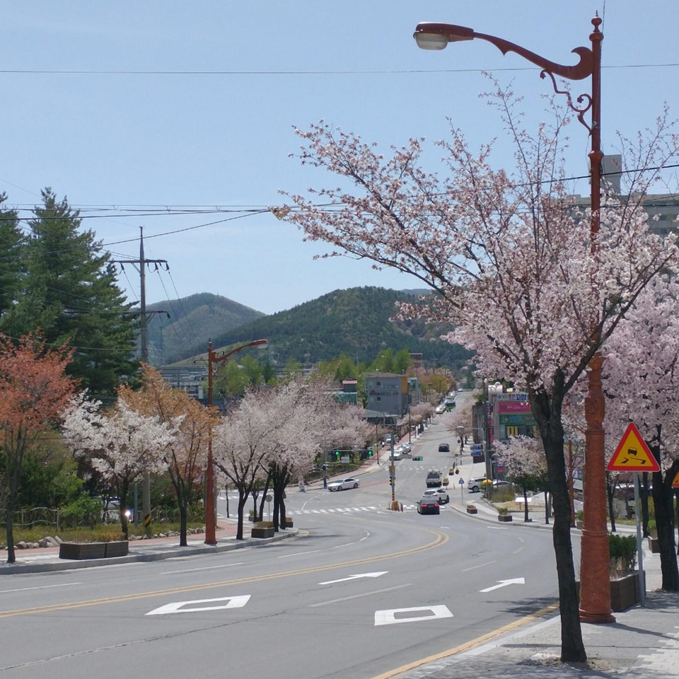 Itä-Aasian koulutustyö: Tie