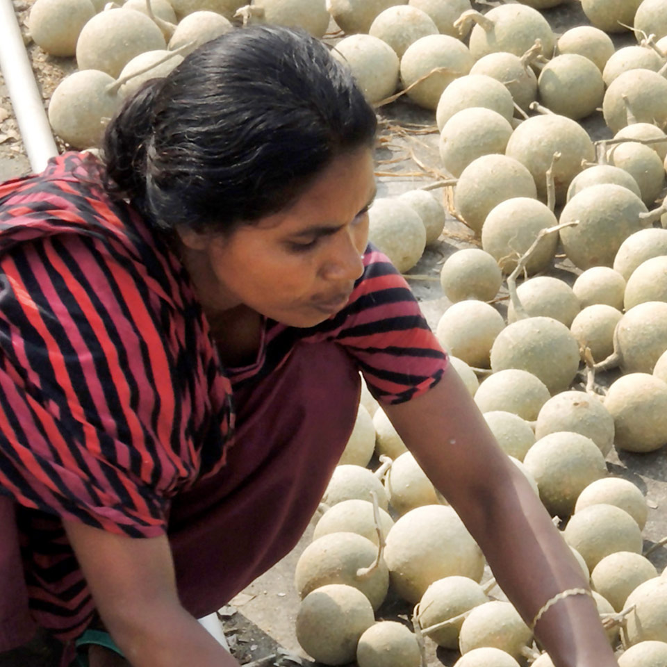 Aineeton lahja: Menestyvä pienyrittäjä