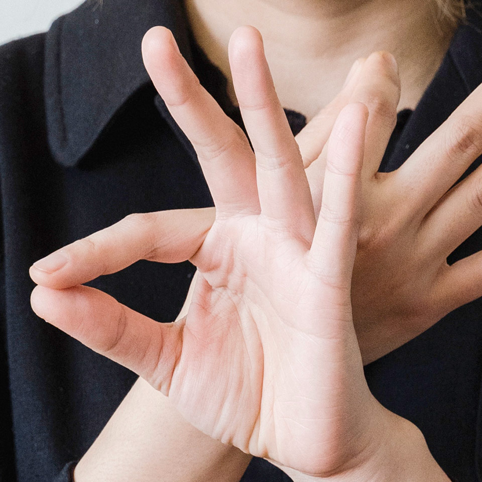 Aineeton lahja: Viittomakielen sanakirja